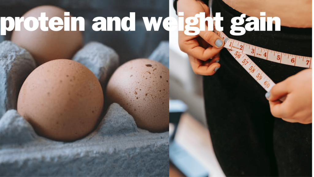 protein and weight gain