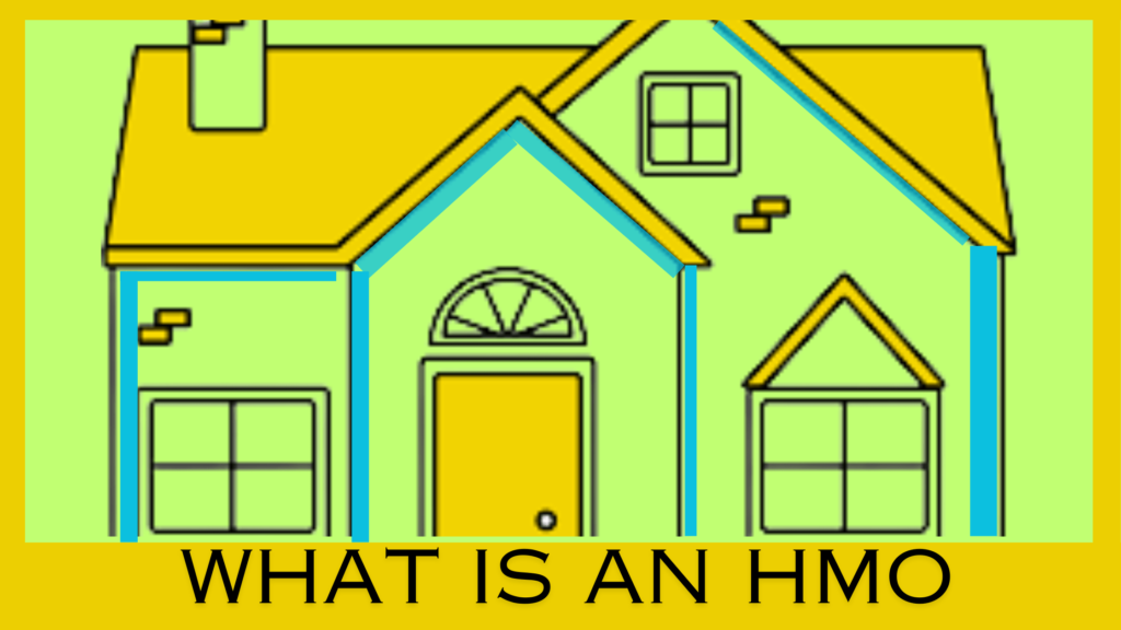 what is an HMO